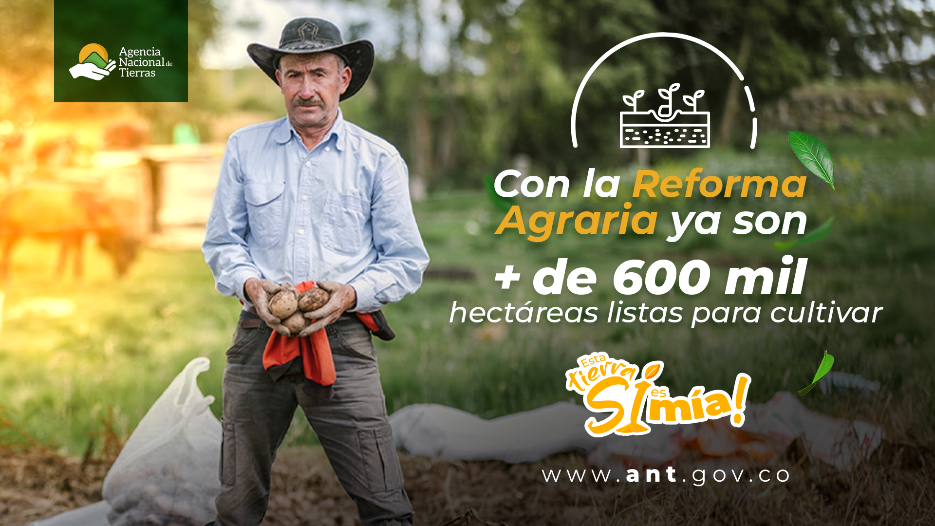Publicidad